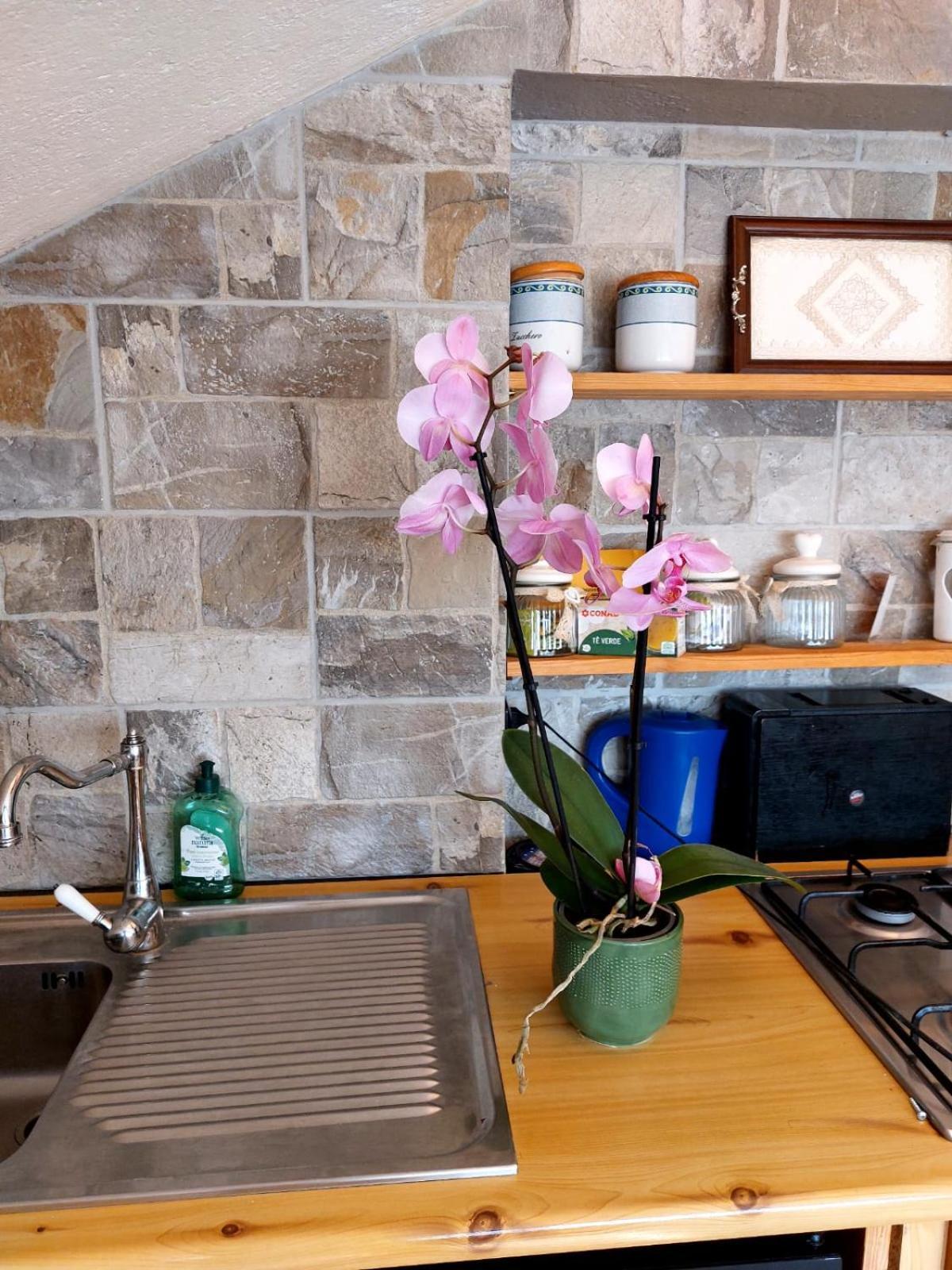 Mansarda Roulette Apartment
